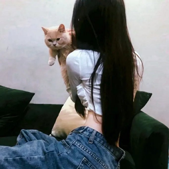 猛虎突击队
